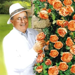 Set Clematis 'The President' & Klimroos 'Papi Delbard®' -Tuin Eden Verkoopwinkel 8901292916766