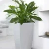 Emsa® Casa Brilliant Bloemenzuil 57 Cm Hoog 'wit'