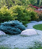 Tuin Eden Verkoopwinkel -Tuin Eden Verkoopwinkel 8902124208158