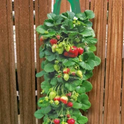 Twee Aardbeien Plantbuidels & 9 Hangaardbeien