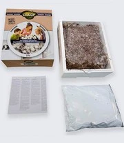 Champignon Kweek Collectie 6 Champignon Kweek Collectie - Afbeelding 6