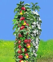 Tuin Eden Verkoopwinkel -Tuin Eden Verkoopwinkel 8973981351966