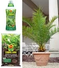 COMPO® SANA® Meststof Voor Palmen & Palmpotgrond & Canarische Dadelpalm Ca. 50 Cm Hoog