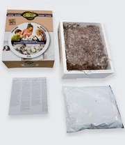 Witte Champignons (kweekset) 3 Witte Champignons (kweekset) - Afbeelding 3